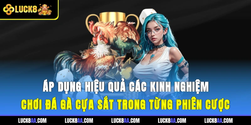Áp dụng hiệu quả các kinh nghiệm chơi đá gà cựa sắt trong từng phiên cược