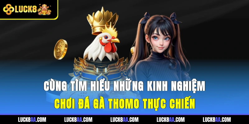 Cùng tìm hiểu những kinh nghiệm chơi đá gà Thomo thực chiến