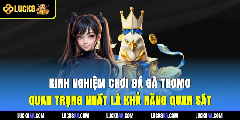 Kinh nghiệm chơi đá gà Thomo quan trọng nhất là khả năng quan sát