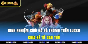 Kinh Nghiệm Chơi Đá Gà Thomo Trên Luck8 - Chia Sẻ Từ Cao Thủ