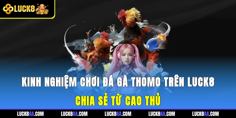 Kinh Nghiệm Chơi Đá Gà Thomo Trên Luck8 - Chia Sẻ Từ Cao Thủ
